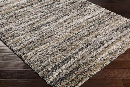 Holstein Modern Charcoal Area Rug