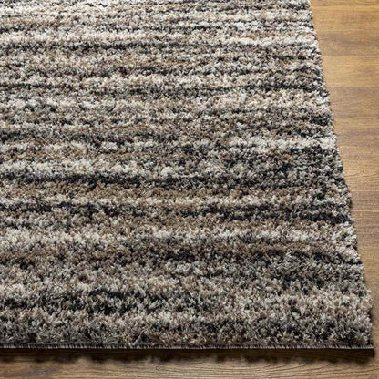 Holstein Modern Charcoal Area Rug
