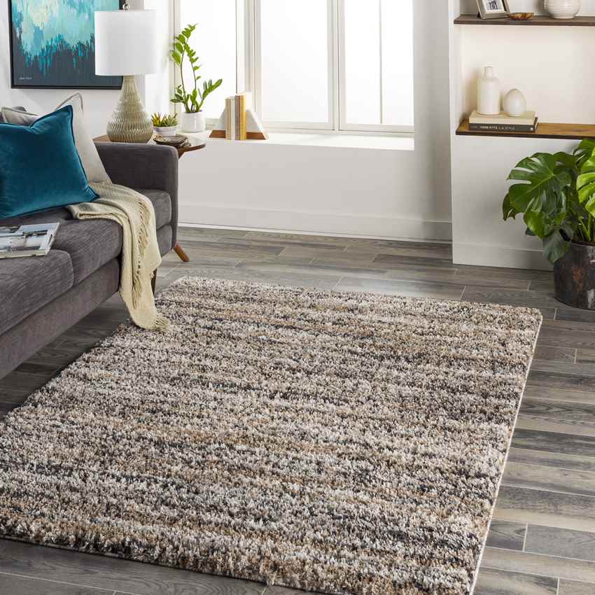 Holstein Modern Charcoal Area Rug
