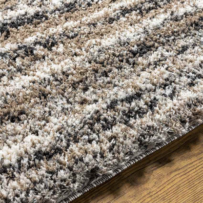 Holstein Modern Charcoal Area Rug