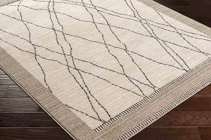 Chloraka Global Beige Area Rug