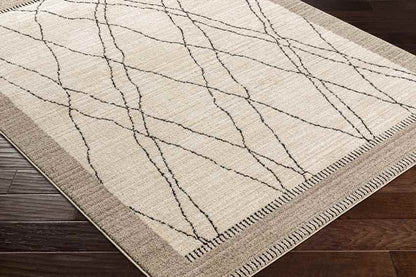 Chloraka Global Beige Area Rug