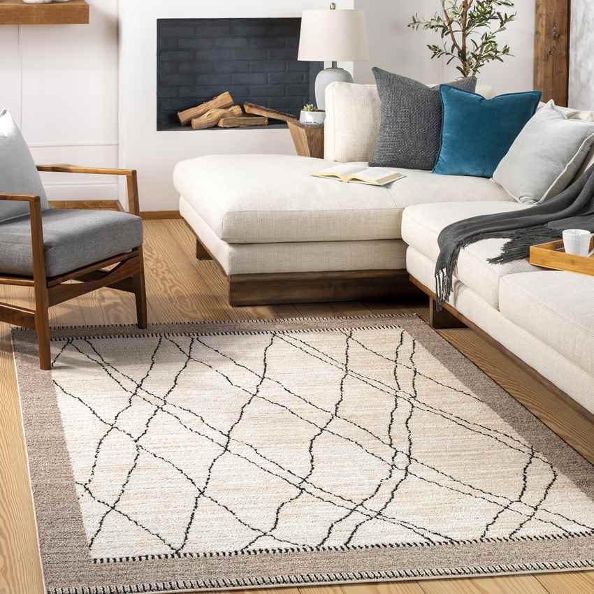 Chloraka Global Beige Area Rug