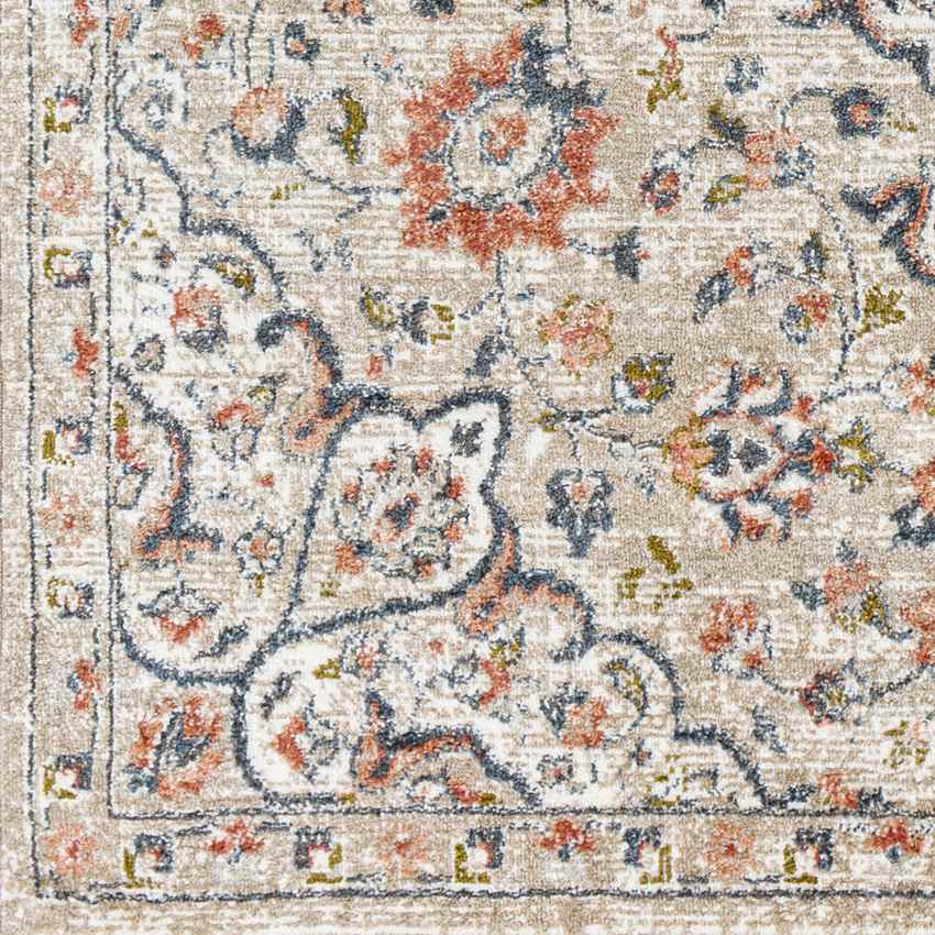 Knierim Traditional Ivory Area Rug