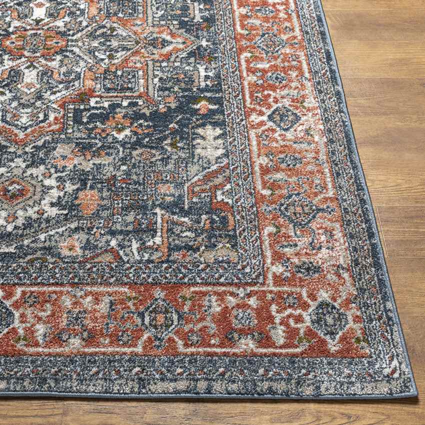 La Motte Traditional Dark Blue Area Rug