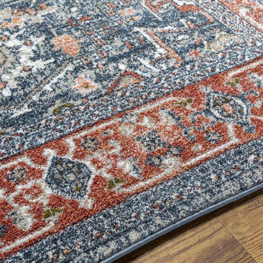 La Motte Traditional Dark Blue Area Rug