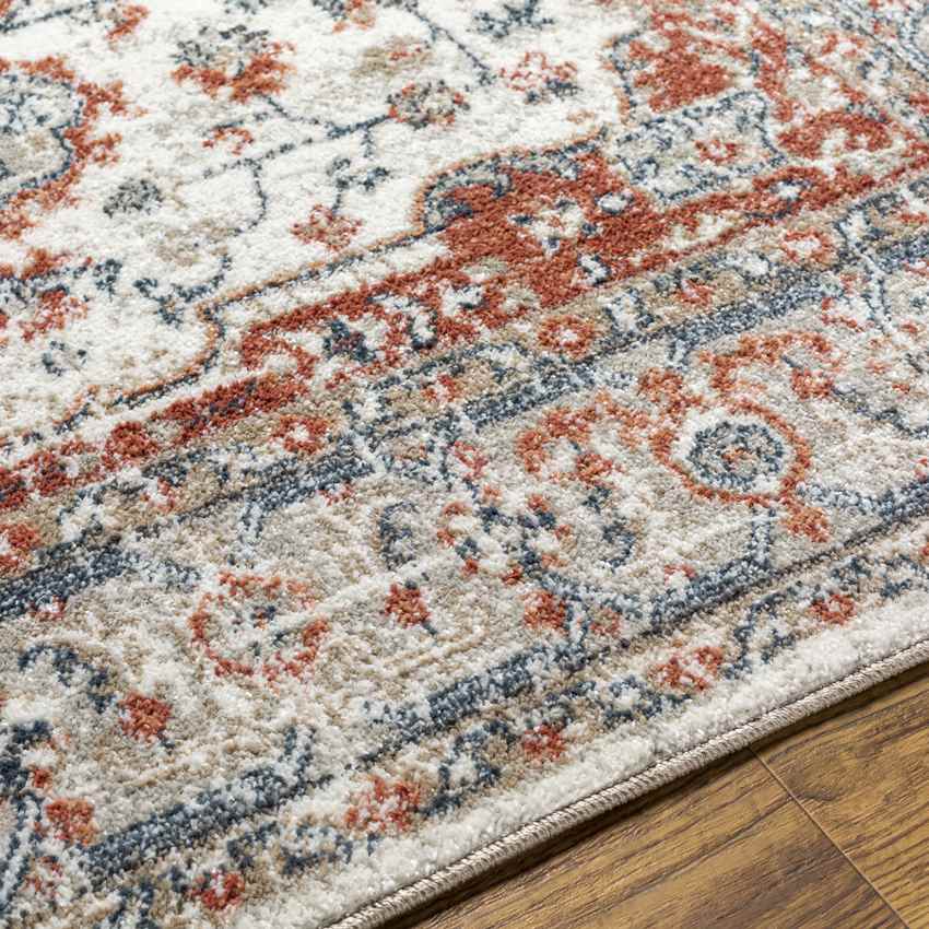 Ladora Traditional Ivory Area Rug