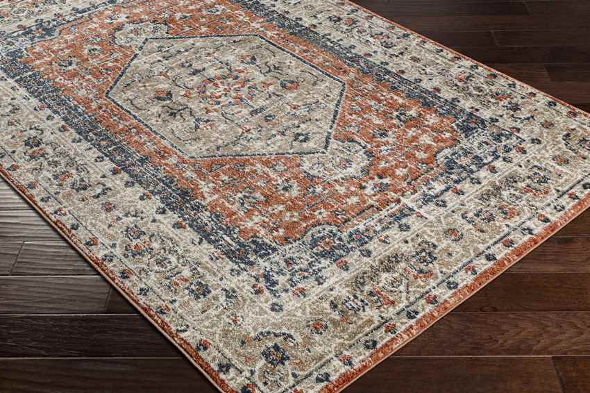 Ladora Traditional Burnt Orange Area Rug