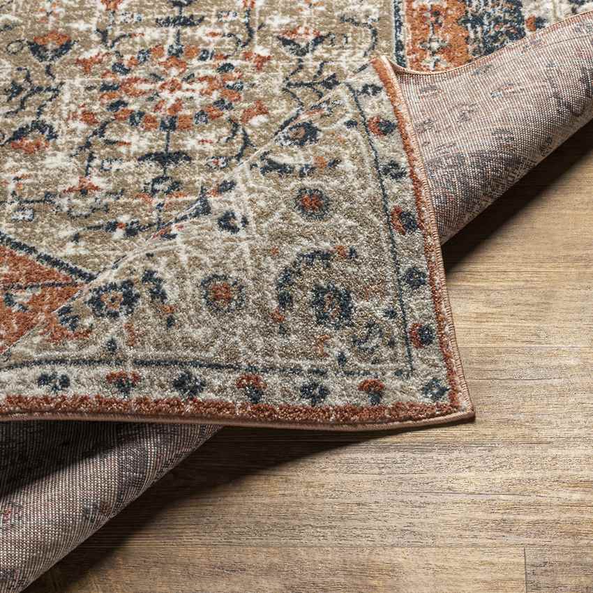 Ladora Traditional Burnt Orange Area Rug