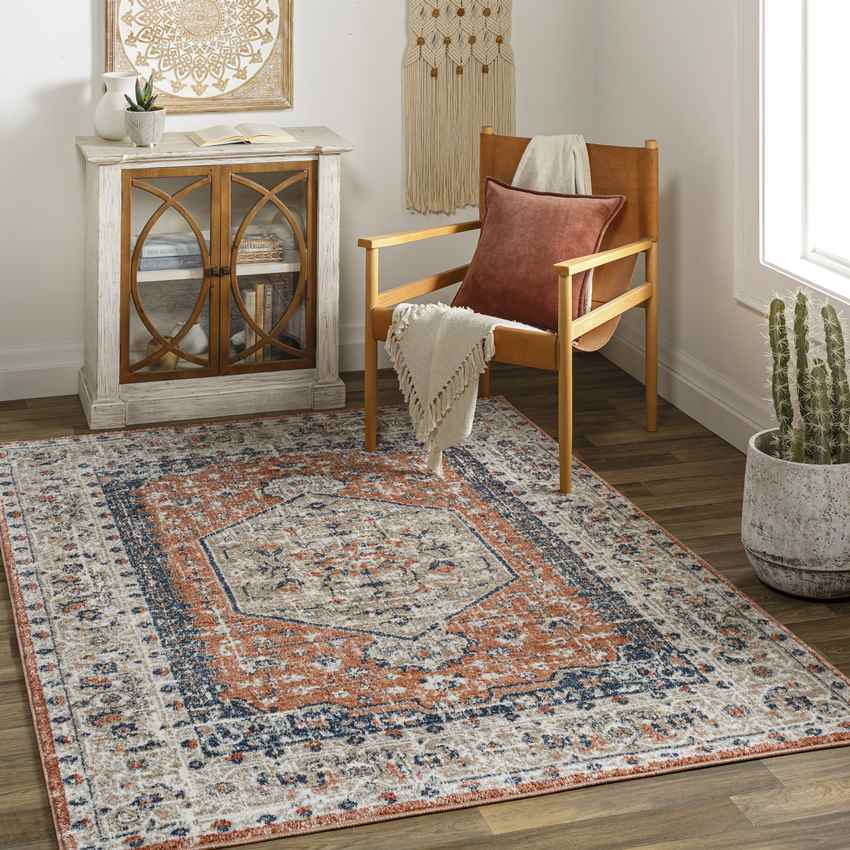 Ladora Traditional Burnt Orange Area Rug