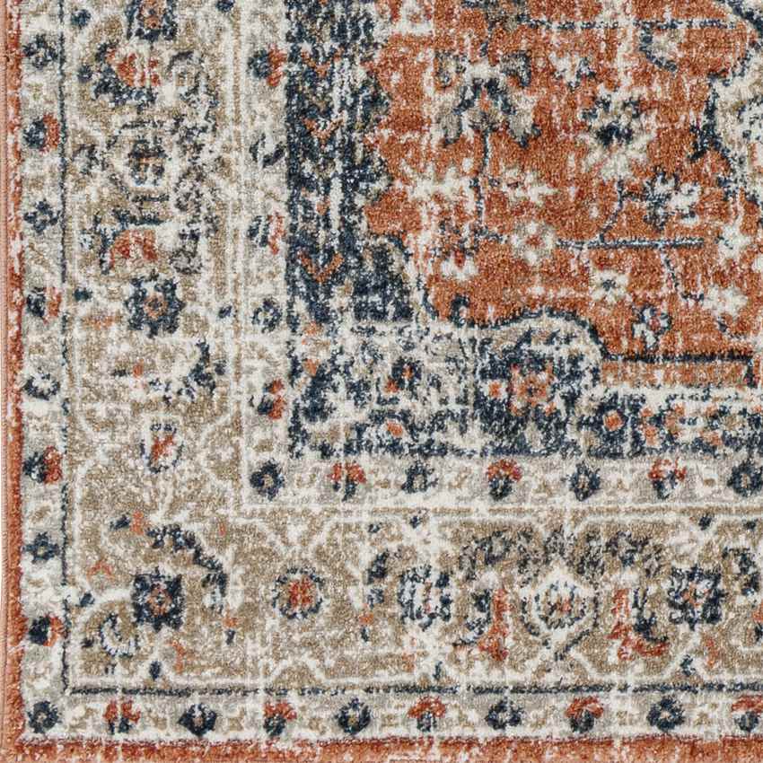 Ladora Traditional Burnt Orange Area Rug