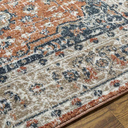 Ladora Traditional Burnt Orange Area Rug