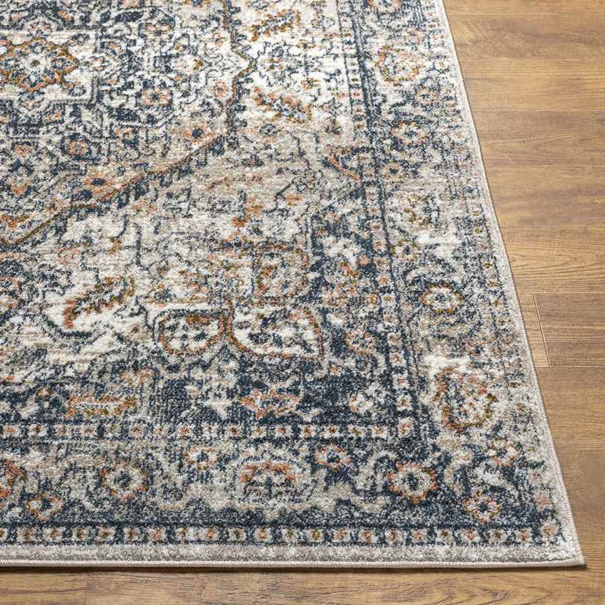 Lake Mills Traditional Ivory Area Rug