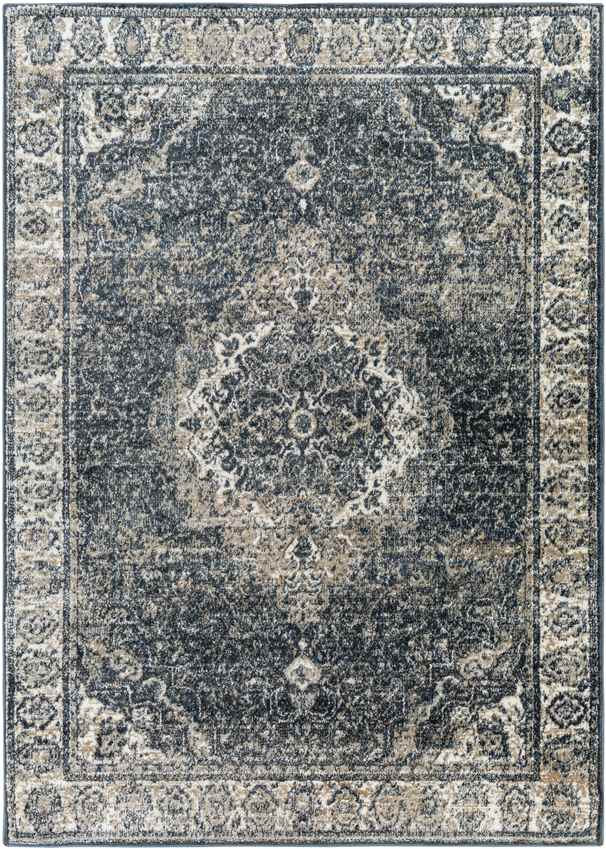 Lake Park Traditional Dark Teal Area Rug