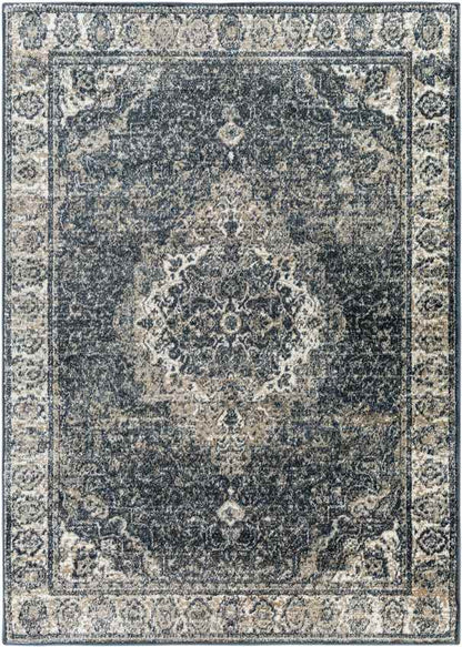 Lake Park Traditional Dark Teal Area Rug
