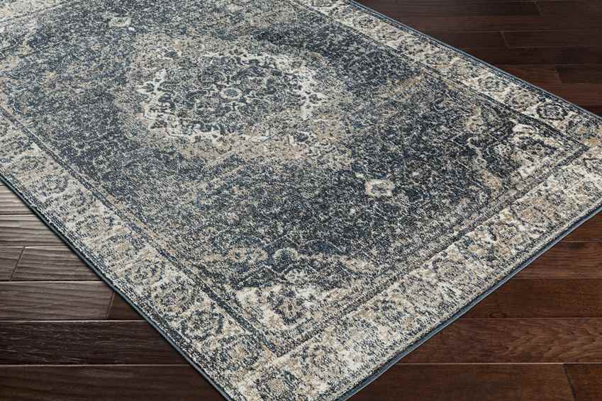 Lake Park Traditional Dark Teal Area Rug