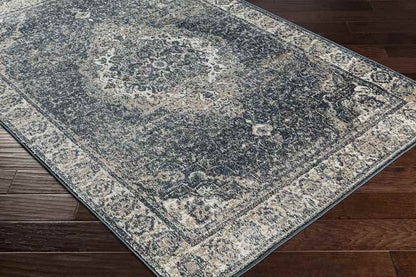Lake Park Traditional Dark Teal Area Rug