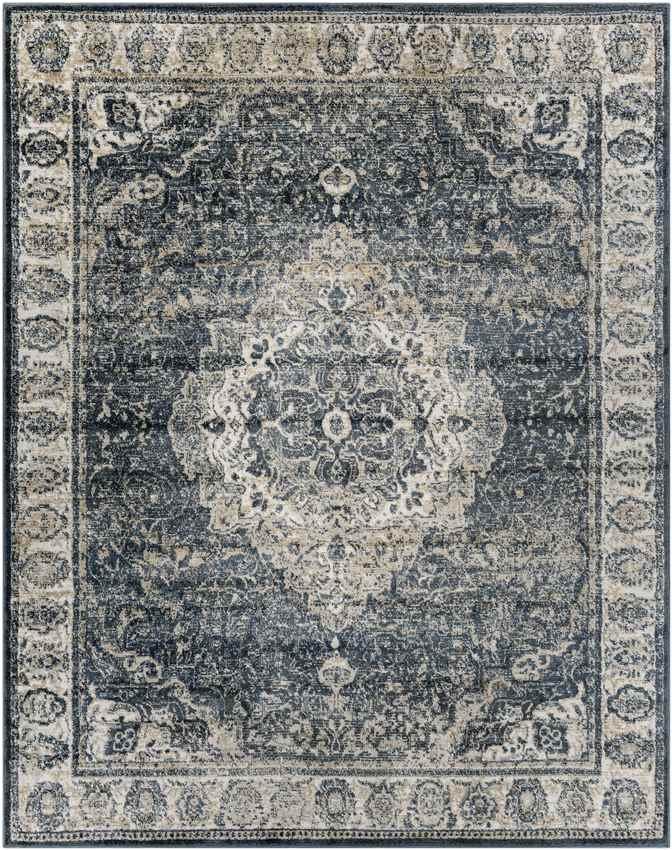 Lake Park Traditional Dark Teal Area Rug