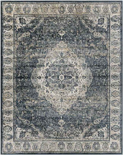 Lake Park Traditional Dark Teal Area Rug