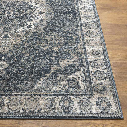 Lake Park Traditional Dark Teal Area Rug