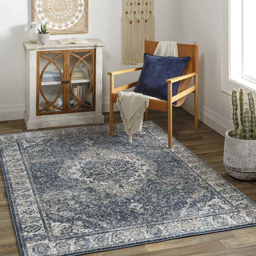 Lake Park Traditional Dark Teal Area Rug