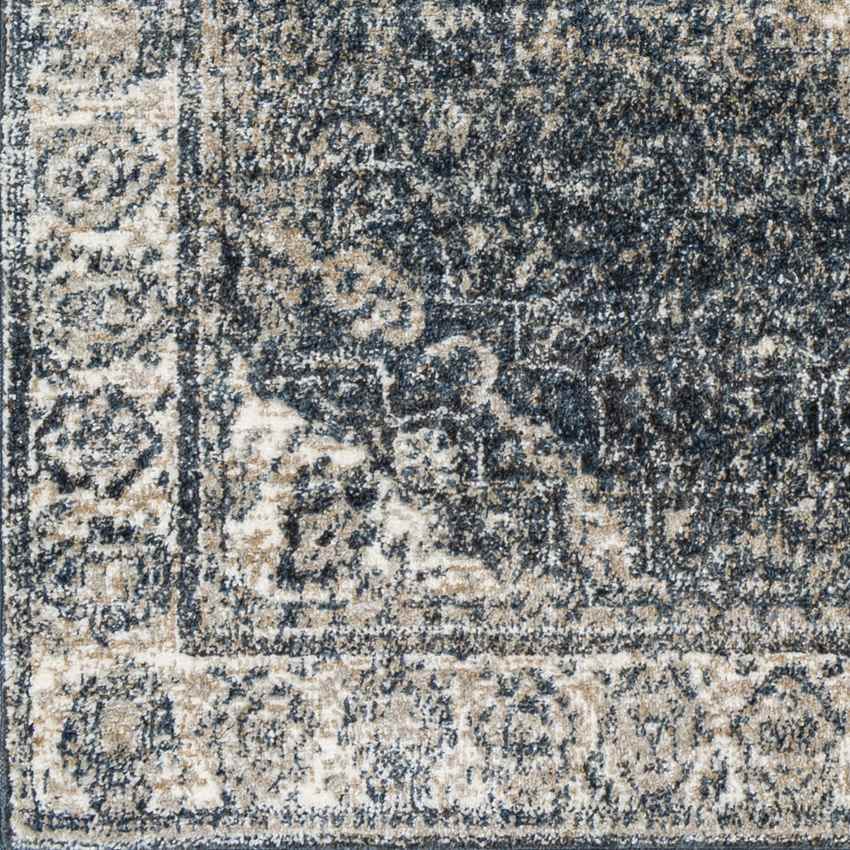 Lake Park Traditional Dark Teal Area Rug