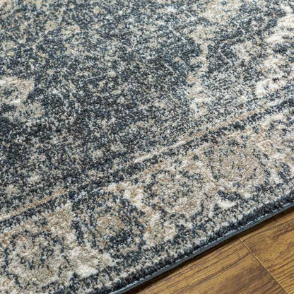 Lake Park Traditional Dark Teal Area Rug