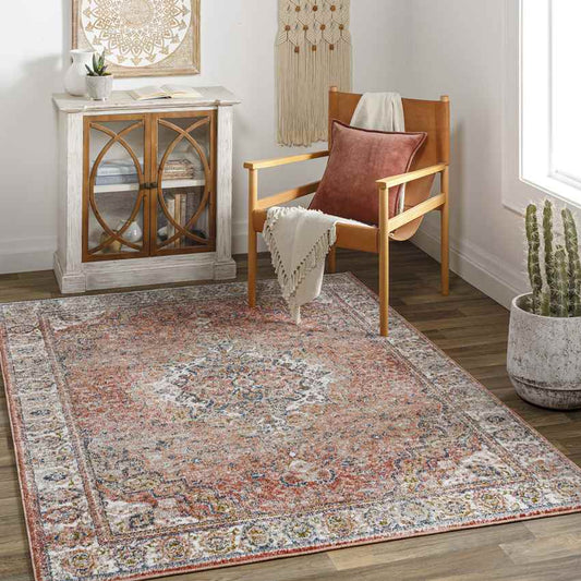 Lake Park Traditional Burnt Orange Area Rug