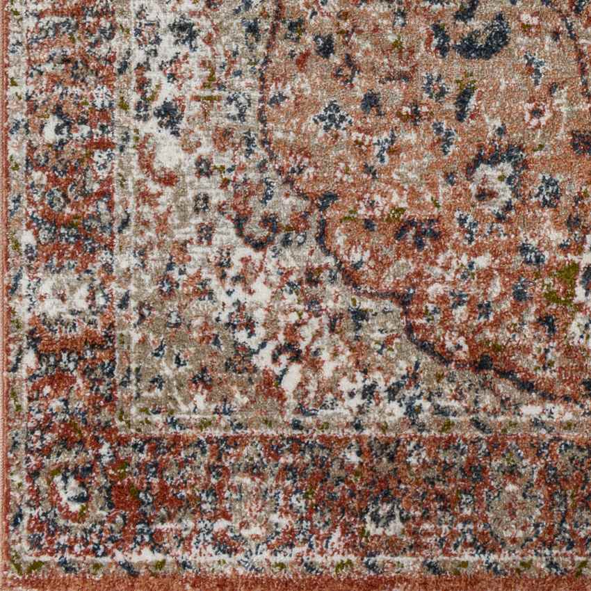 Lake View Traditional Burgundy Area Rug