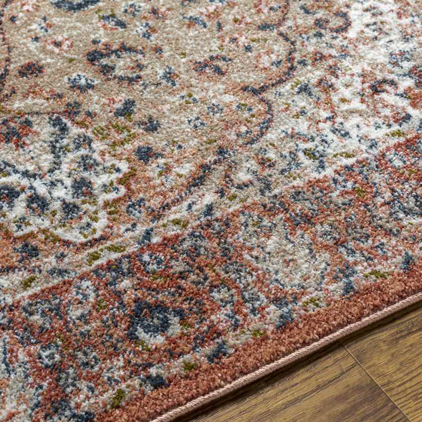 Lake View Traditional Burgundy Area Rug