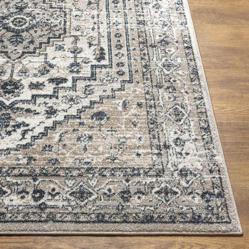 Lakota Traditional Ivory Area Rug