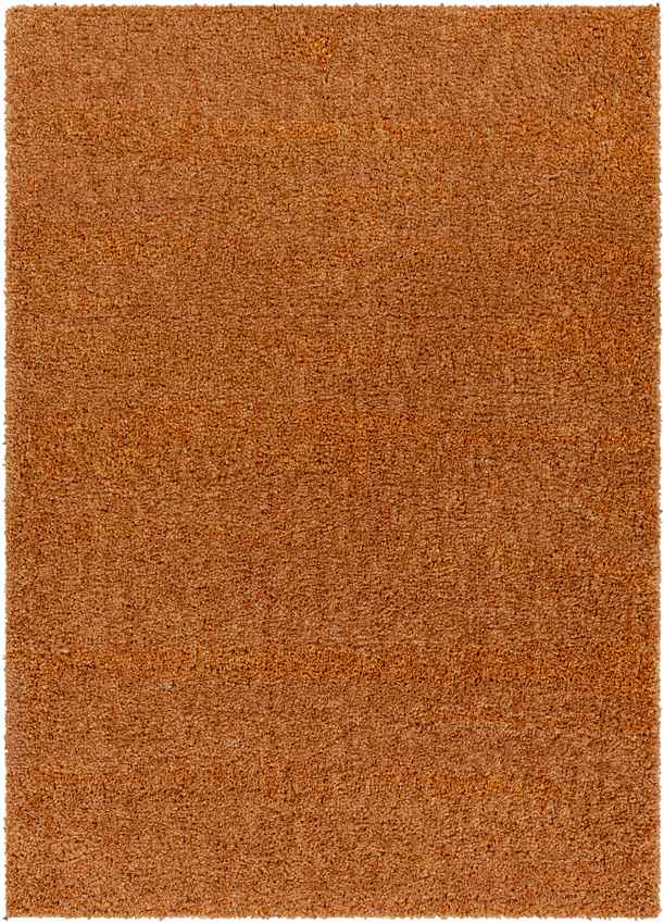 Vere Modern Burnt Orange Area Rug