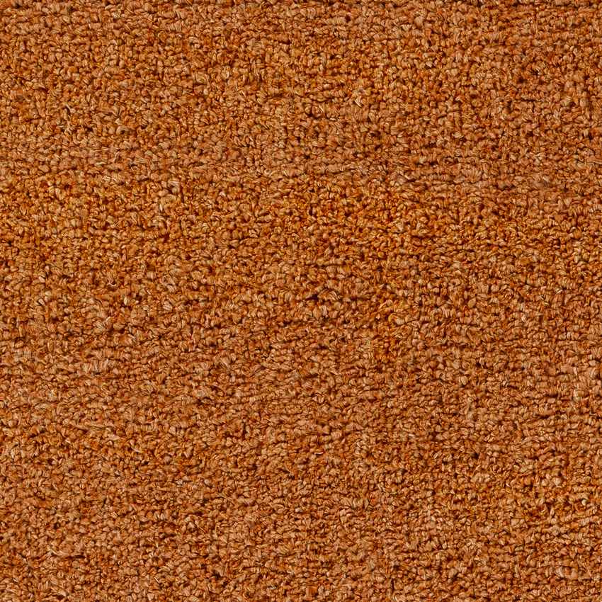Vere Modern Burnt Orange Area Rug