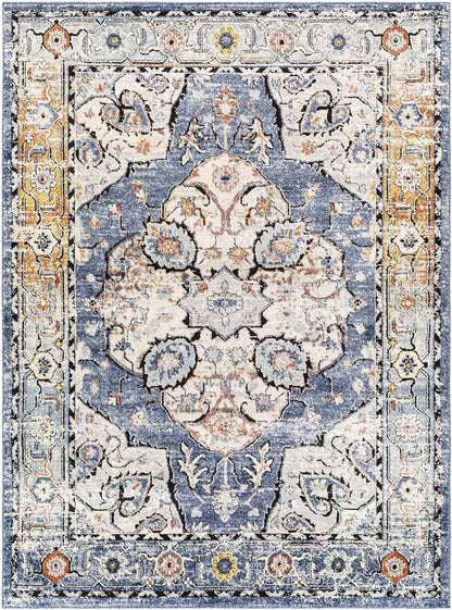 Dhometios Traditional Denim Area Rug