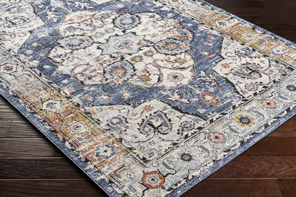 Dhometios Traditional Denim Area Rug