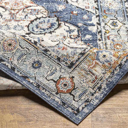 Dhometios Traditional Denim Area Rug