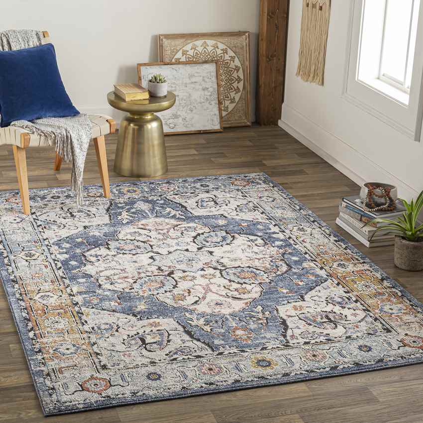 Dhometios Traditional Denim Area Rug