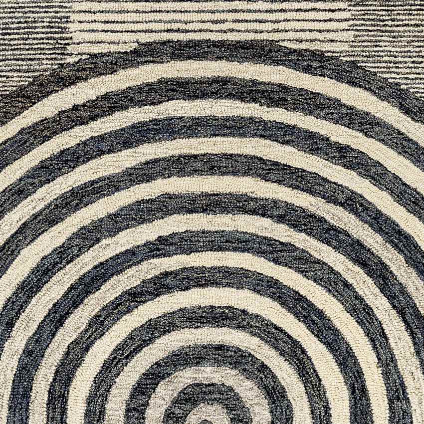 Troulloi Modern Charcoal Area Rug