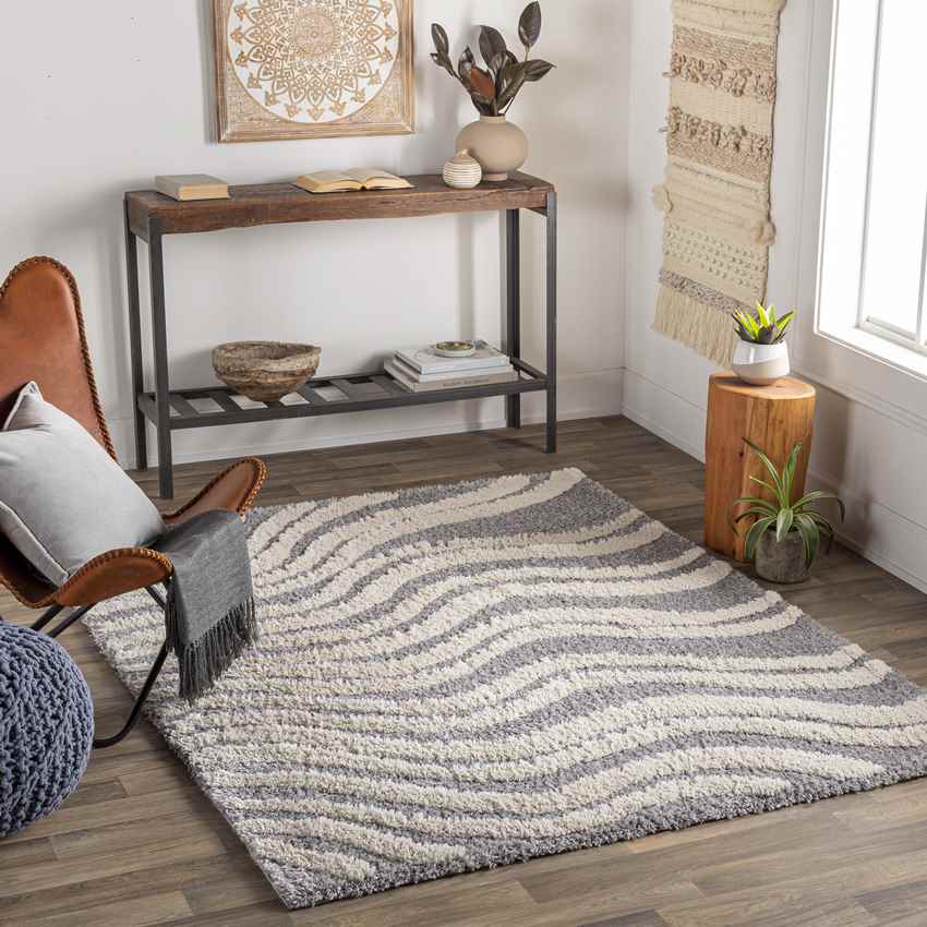 Mousoulita Modern Gray Area Rug