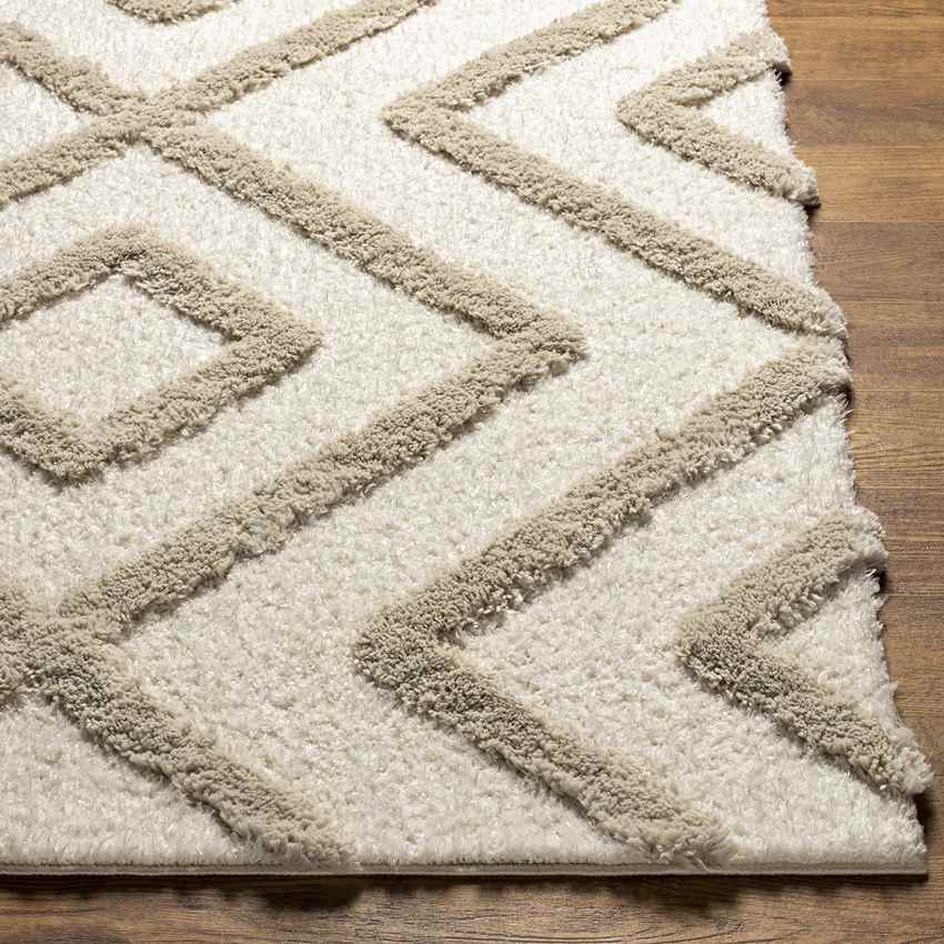 Theodoros Global Ivory Area Rug