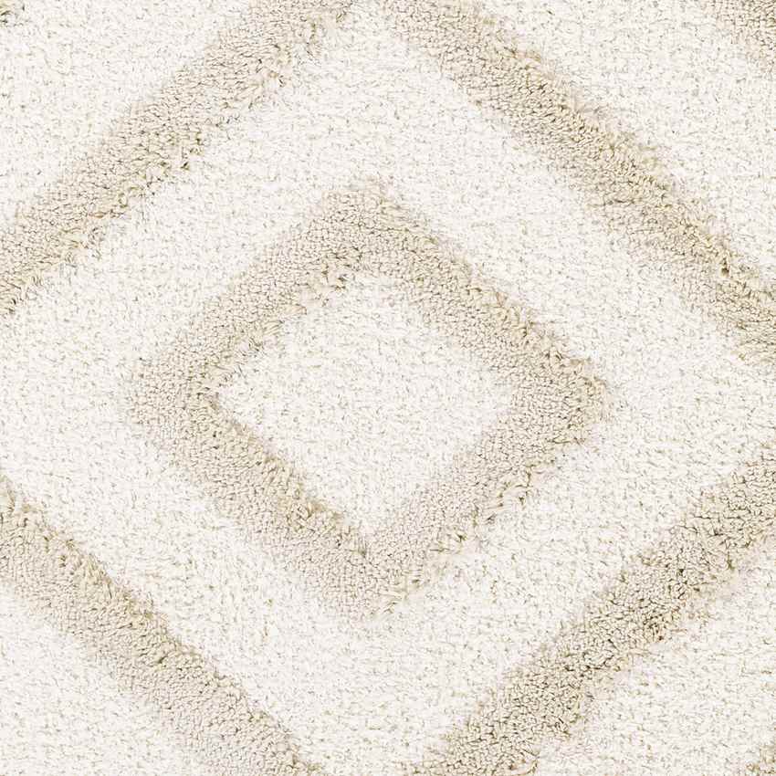 Theodoros Global Ivory Area Rug