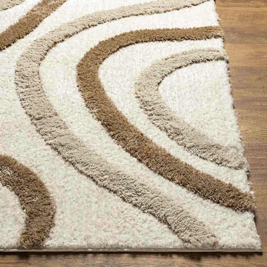 Morfou Modern Burnt Orange Area Rug
