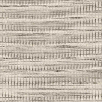 Acheri Modern Gray Area Rug