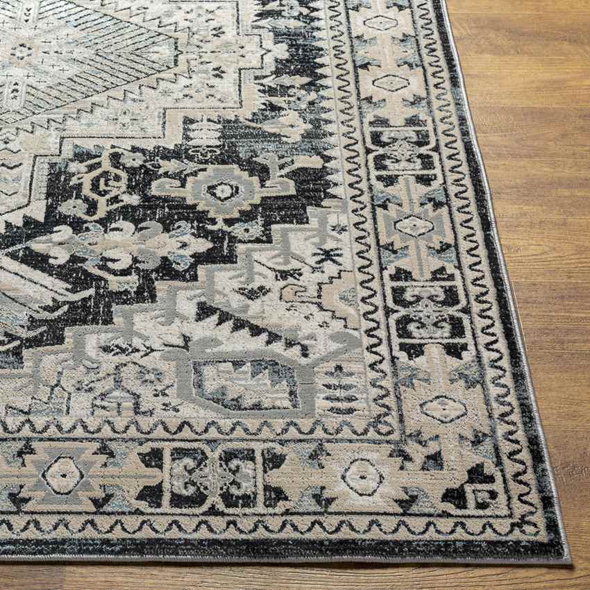 Pachna Traditional Dark Teal Area Rug