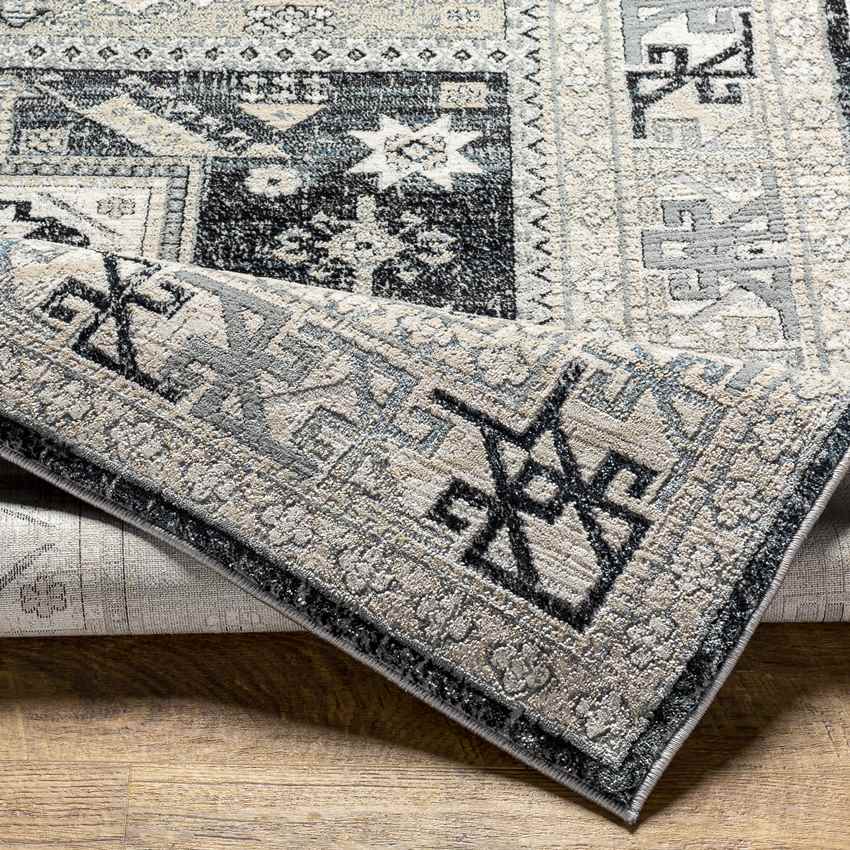 Trikomou Traditional Charcoal Area Rug