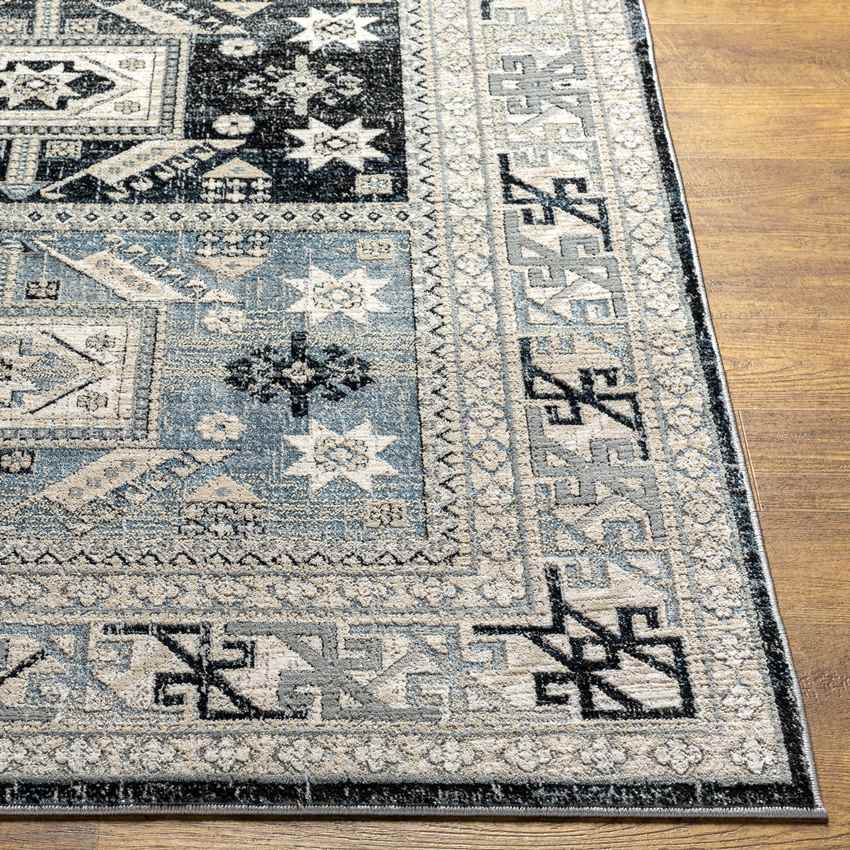 Trikomou Traditional Charcoal Area Rug