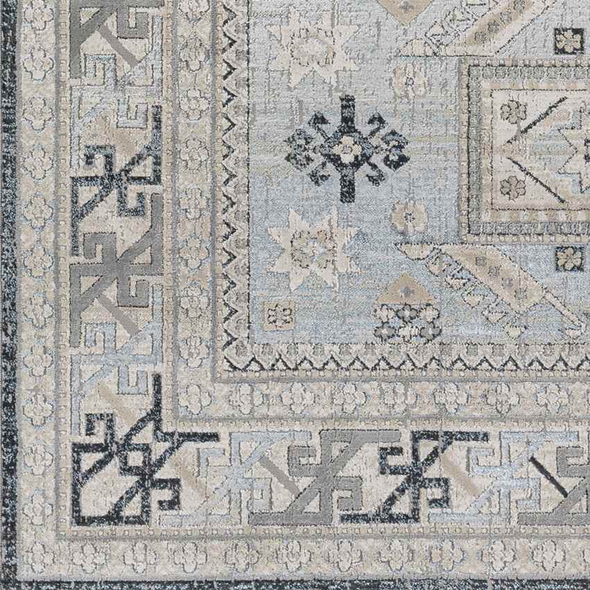 Trikomou Traditional Charcoal Area Rug