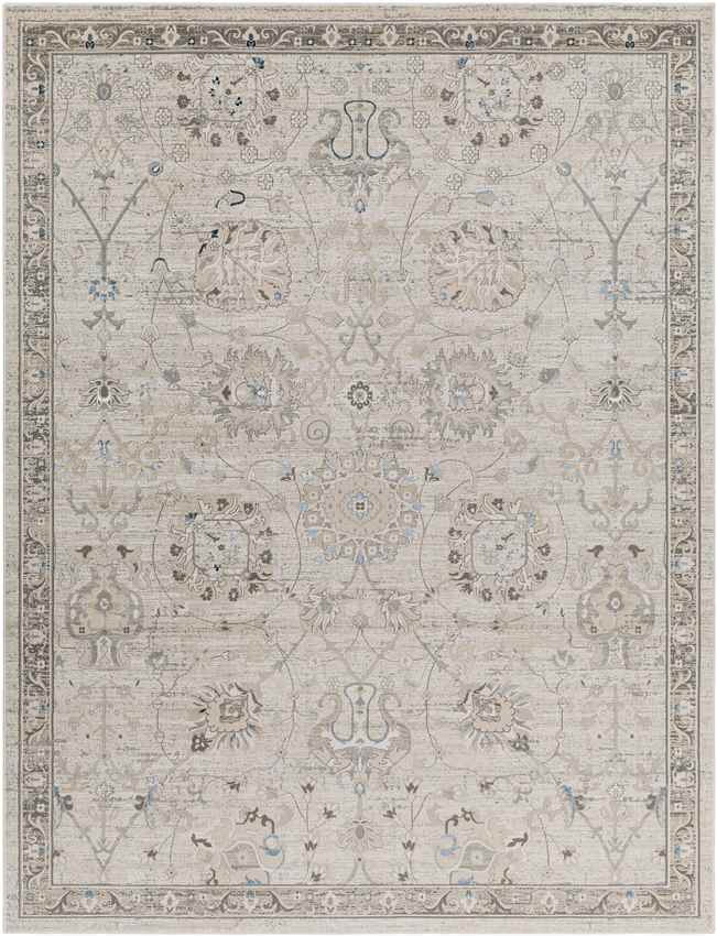 Makrasyka Traditional Beige Area Rug