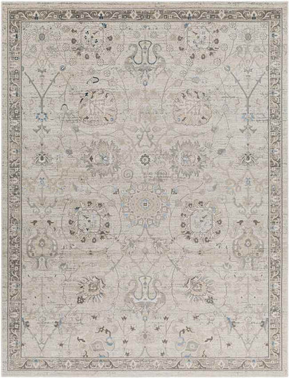 Makrasyka Traditional Beige Area Rug
