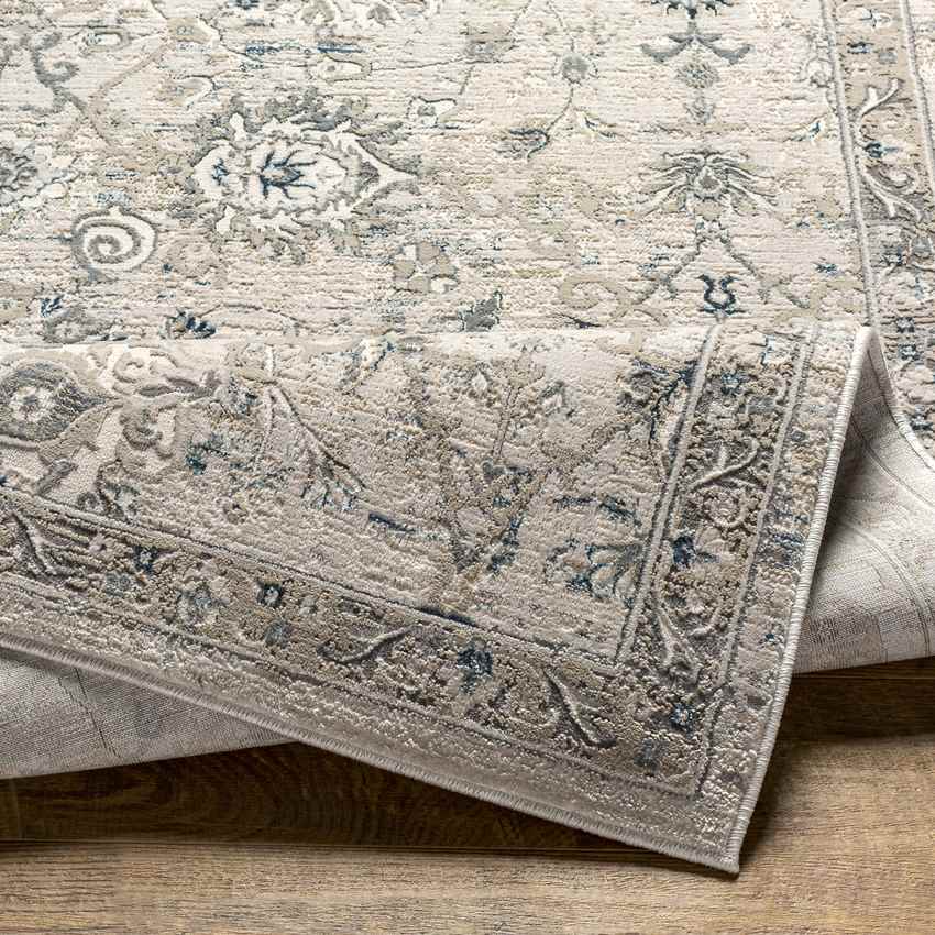 Makrasyka Traditional Beige Area Rug